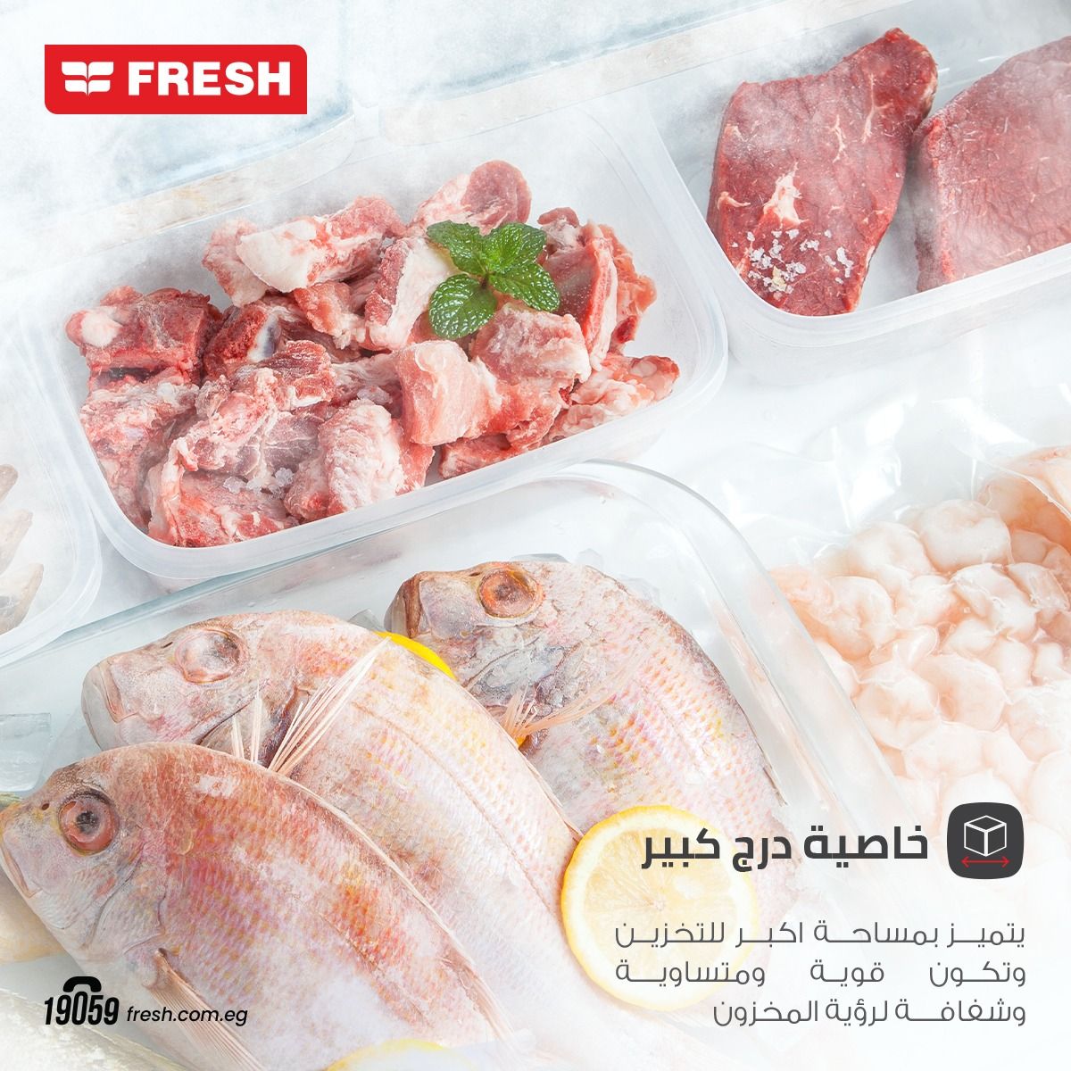 ديب فريزر راسي فريش 5 ادراج -فضي /FNU-LR250S