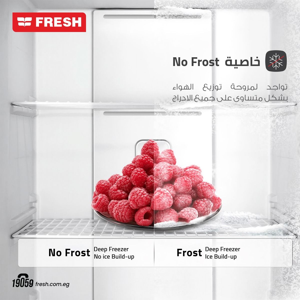 ديب فريزر راسي فريش 5 ادراج -فضي /FNU-L250S