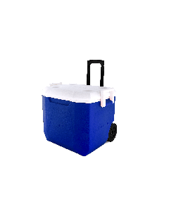 Fresh Ice Box 48 Liters
